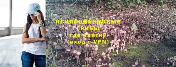 дурь Переславль-Залесский