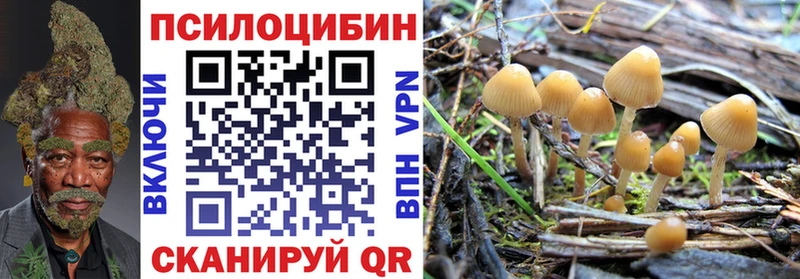 Галлюциногенные грибы мицелий  Болотное 